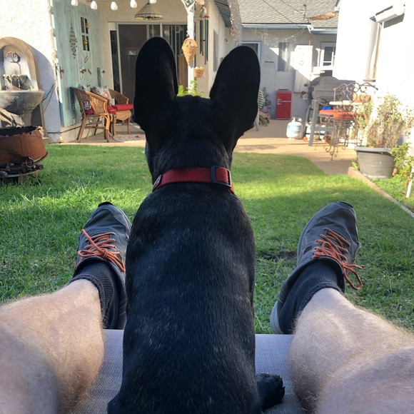 Scott - Picture 16 of 16